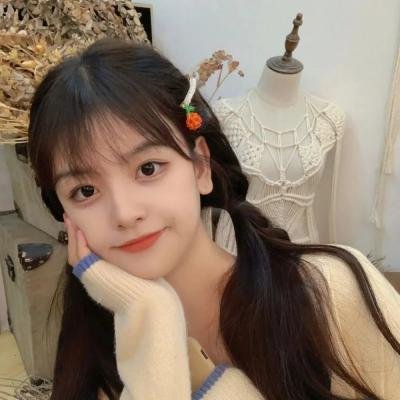 潘及的秘密日记剧场版