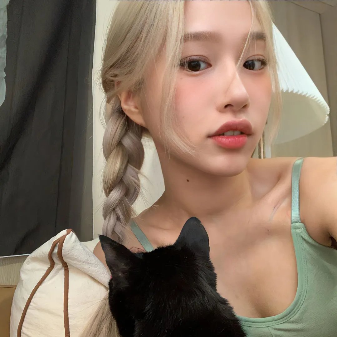 完美伴侣2025